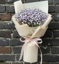 Букет цветов из:  Гипсофила в Поселке совхоза Марфино