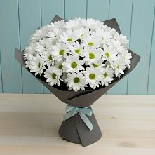Букет цветов из:  Хризантемы #REPLACE_PRED# Поселке совхоза Марфино