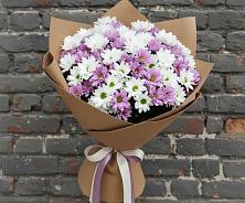 Букет цветов из:  Хризантемы в Поселке совхоза Марфино