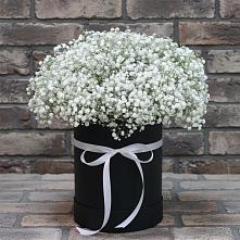 Цветочная композиция из Гипсофила в шляпной коробке в Поселке совхоза Марфино