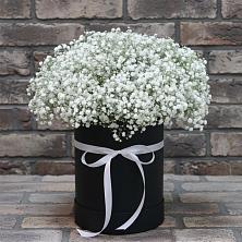 Цветочная композиция из Гипсофила в шляпной коробке в Поселке совхоза Марфино