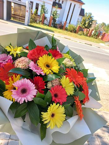 Букет цветов из: Герберы в Поселке совхоза Марфино