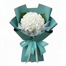 Букет цветов из:  Гортензия в Поселке совхоза Марфино